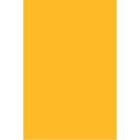 Студійний фон Savage Widetone Deep Yellow 2.72 m x 11m